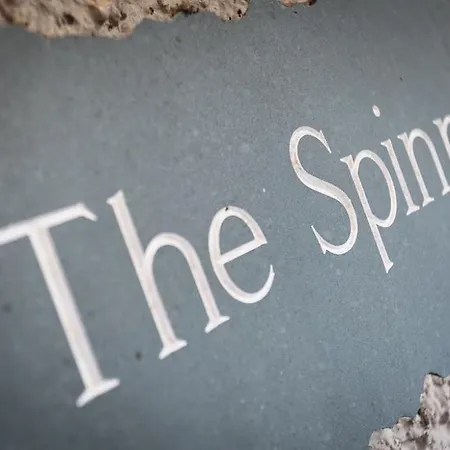 The Spinney Эмблсайд